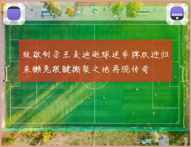 致敬耐杀王麦迪逊球迷举牌欢迎归来獭兔跟腱撕裂之地再现传奇